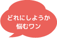 どれにしようか悩むワン！